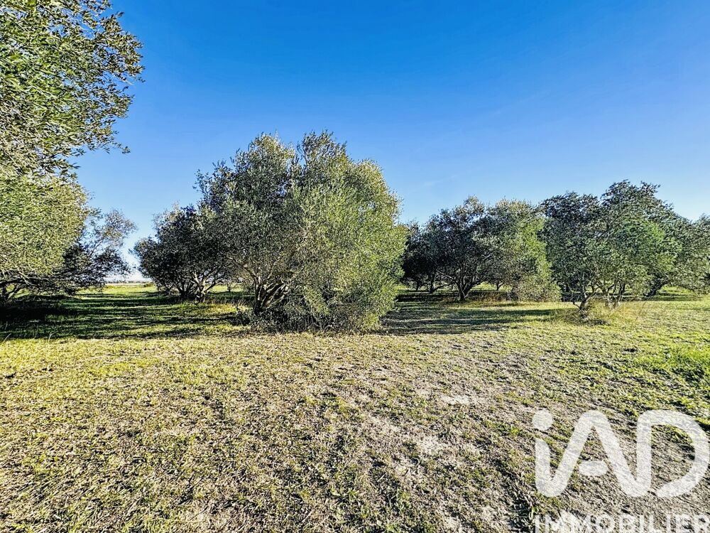 � vendre  Maison Arles (13200)