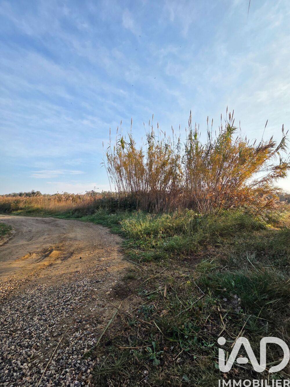 Vente Terrain Vente Terrain agricole 11 946 m&sup2; Pia