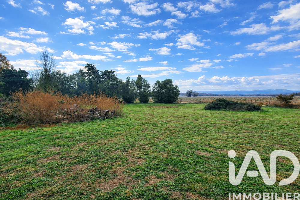 Vente Terrain Vente Terrain agricole 3 443 m&sup2; Montescot