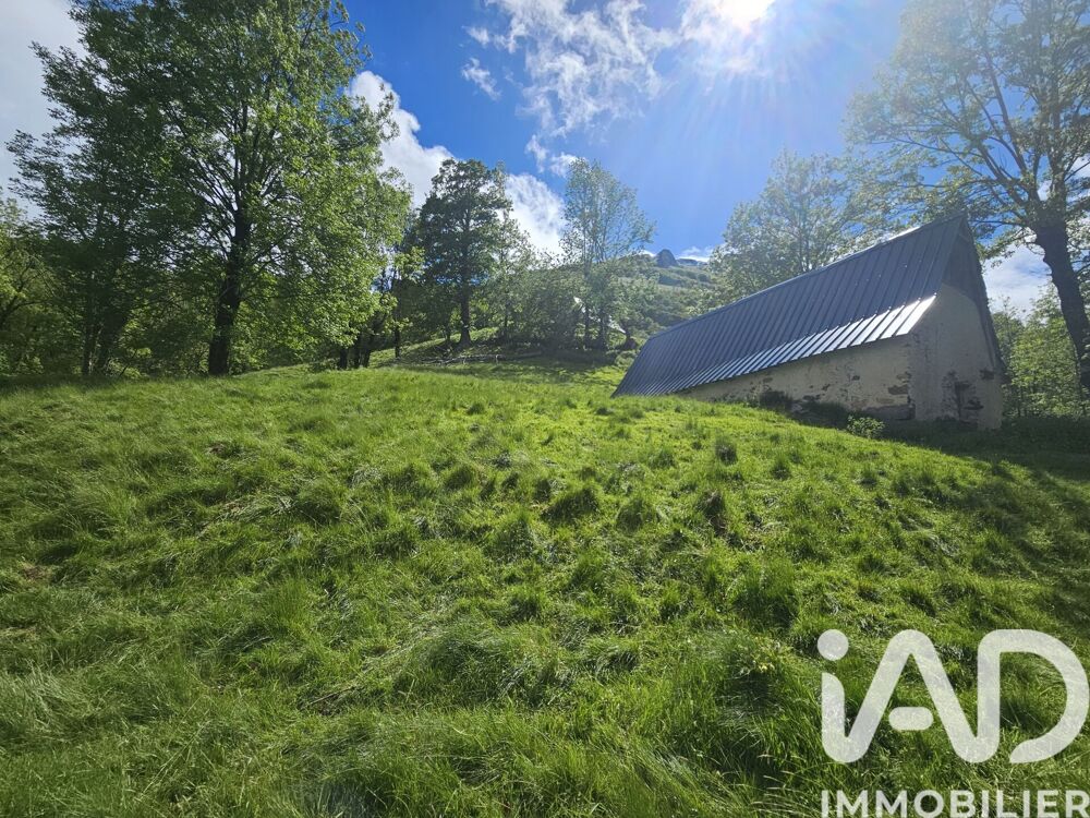 Vente Maison Vente Grange 1 pièce Arrens-marsous