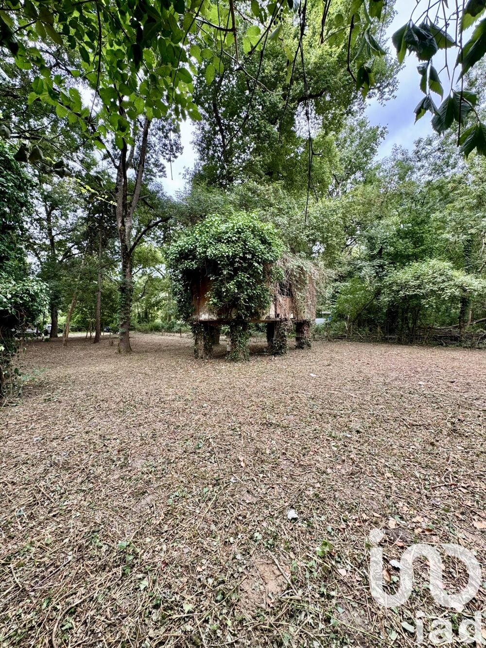 Vente Terrain Vente Terrain 1 791 m&sup2; Savigny-en-véron