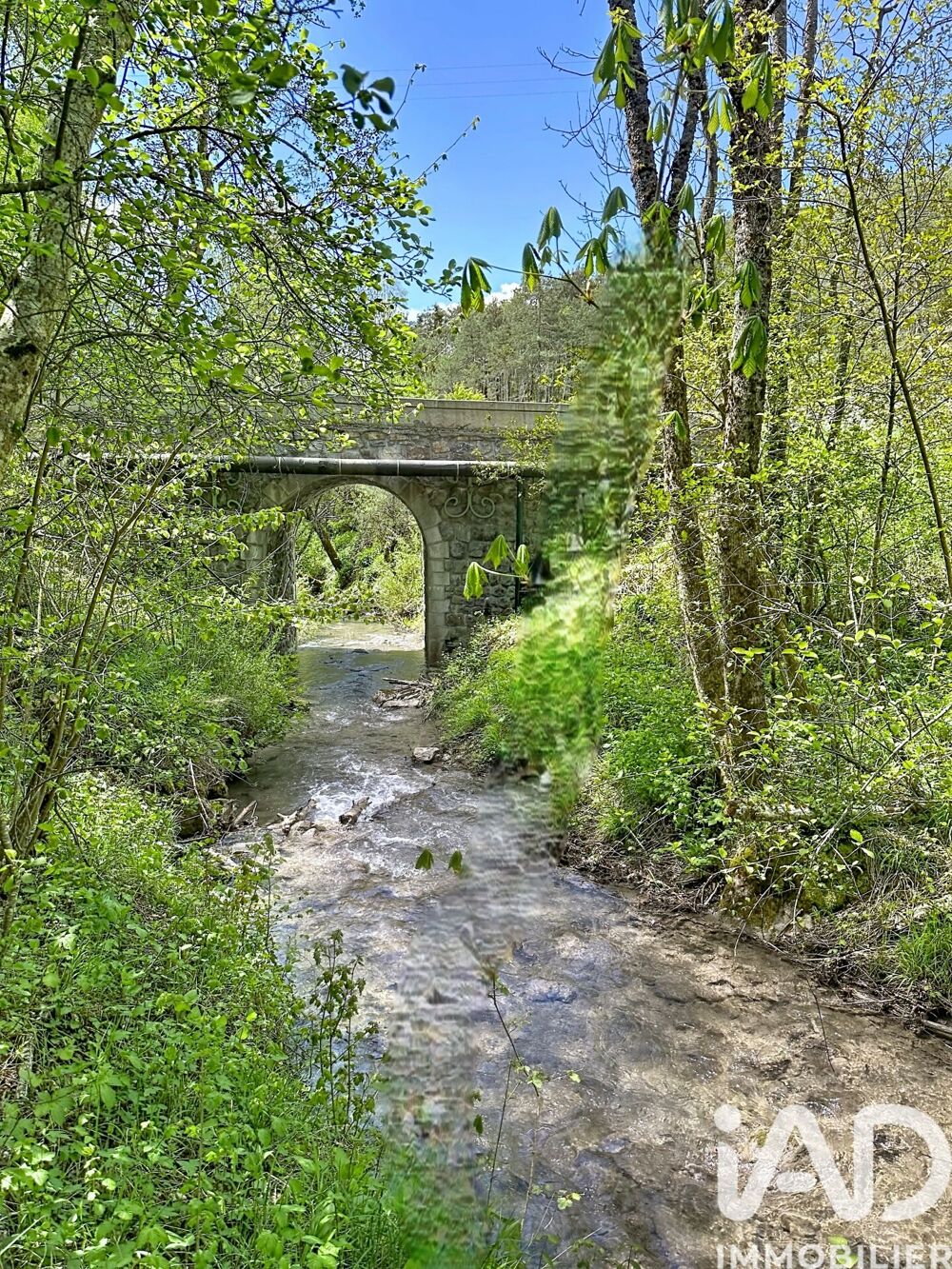 Vente Domaine 11 pièces
