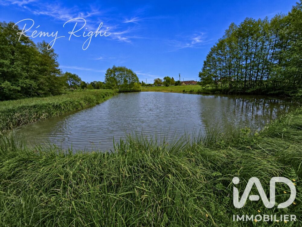 vente Terrain - 10468 m² Chailly-en-Gâtinais (45260)