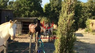  Maison � vendre 5 pi�ces 250 m�