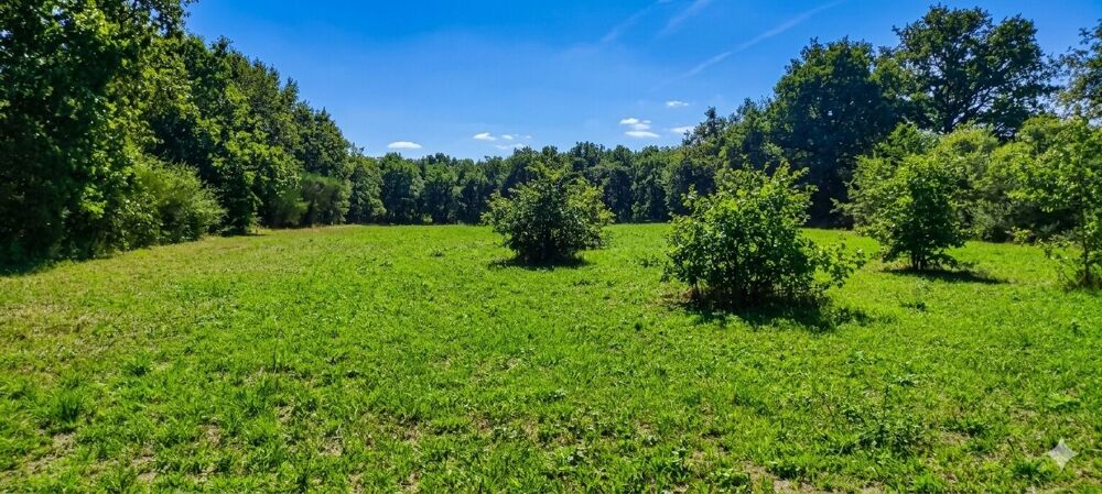 Vente Terrain Terrain de loisir de 3 000 m² au calme Angers