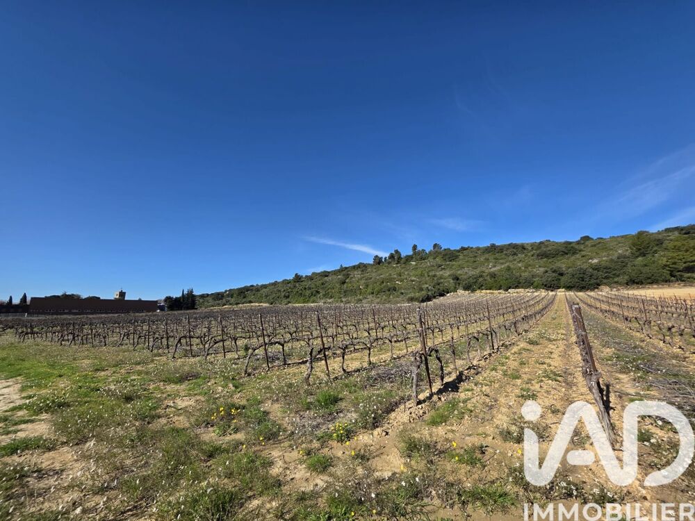 Vente Terrain Vente Terrain agricole 10 170 m&sup2; Saint-saturnin-de-lucian