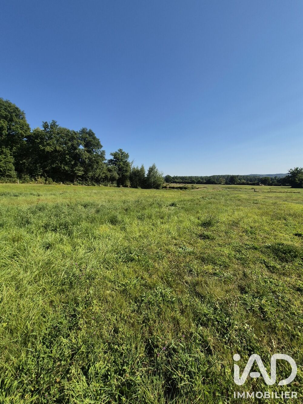 Vente Terrain Vente Terrain 21 223 m&sup2; Ferrières-en-bray