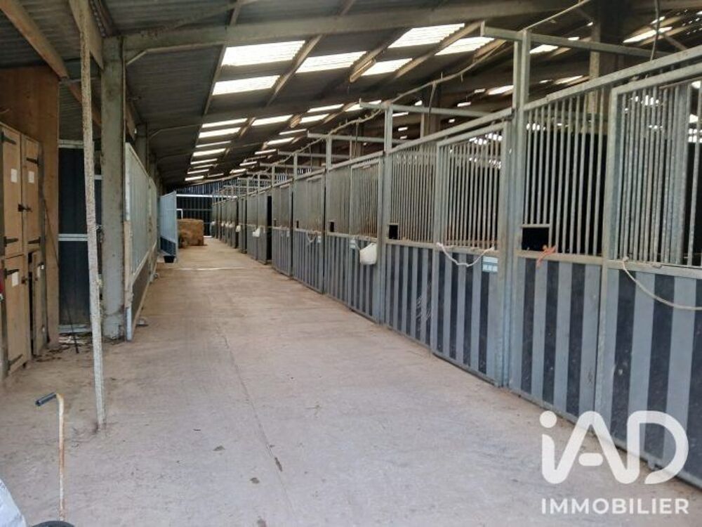 Vente Maison Vente Haras 4 pièces Bezinghem