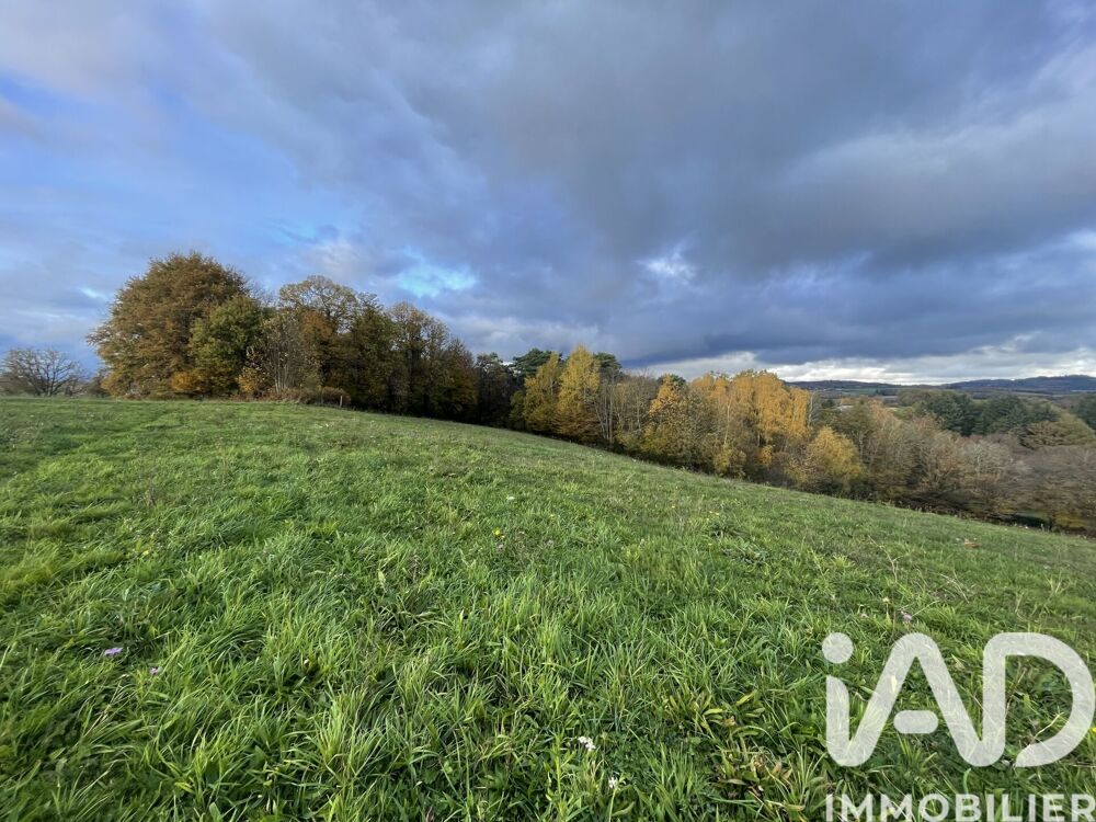 Vente Terrain Vente Terrain agricole 53 431 m&sup2; Neuvic-entier