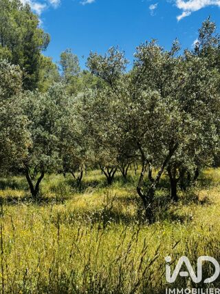 Vente Terrain Vente Terrain agricole 22 550 m&sup2; Callas