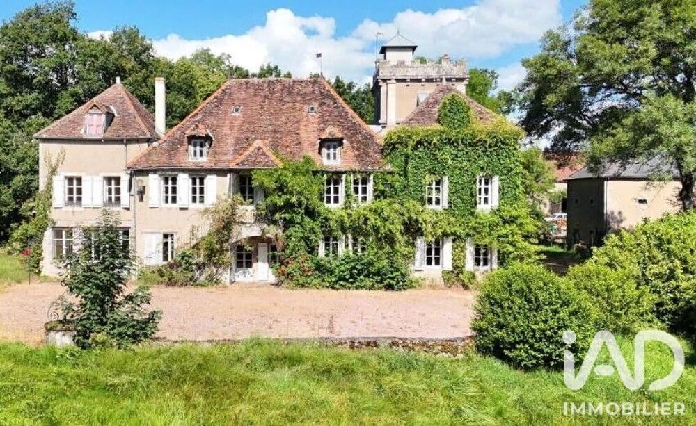 Vente Maison Vente Château 18 pièces Laizy