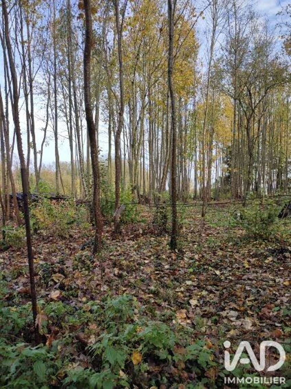 Vente Terrain Vente Terrain 4 900 m&sup2; Boult sur suippe