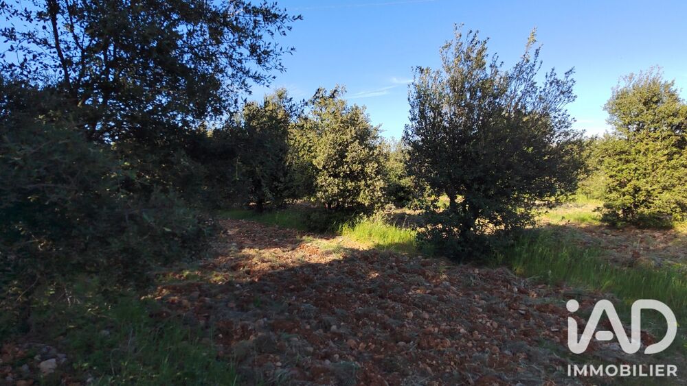 Vente Terrain Vente Truffière 4 300 m&sup2; Sérignan-du-comtat