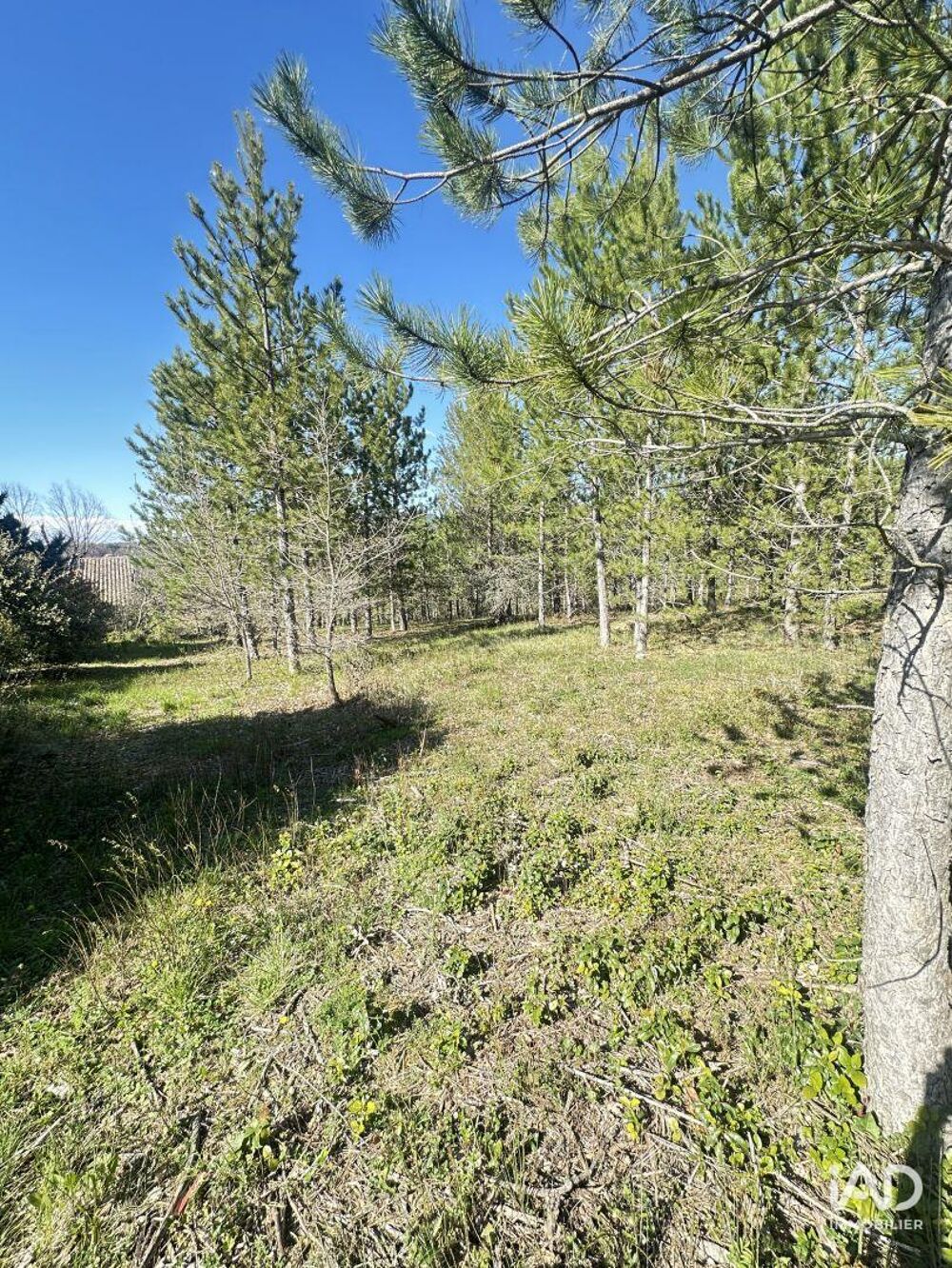 Vente Terrain Vente Terrain 501 m&sup2; Mollans-sur-ouvèze