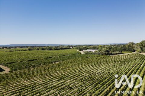   Vente Agriculture, Viticulture 800 m&sup2; 