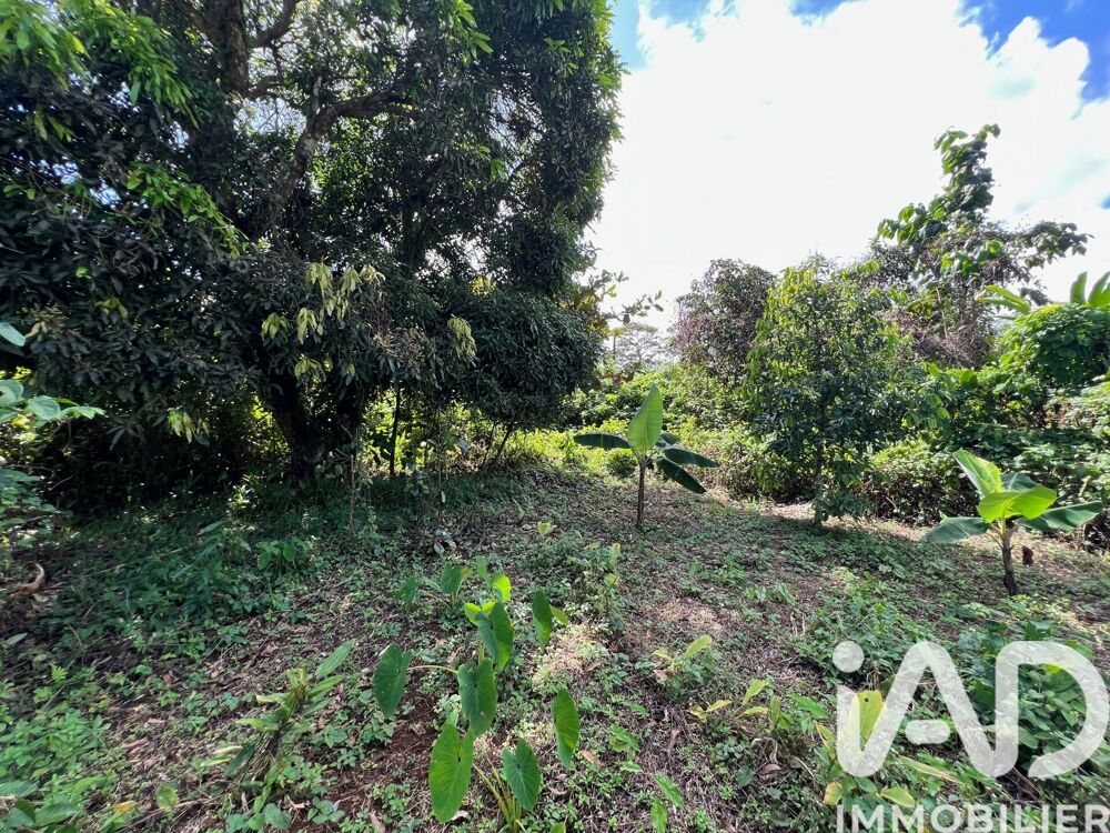 Vente Terrain Vente Terrain 854 m&sup2; Capesterre-belle-eau
