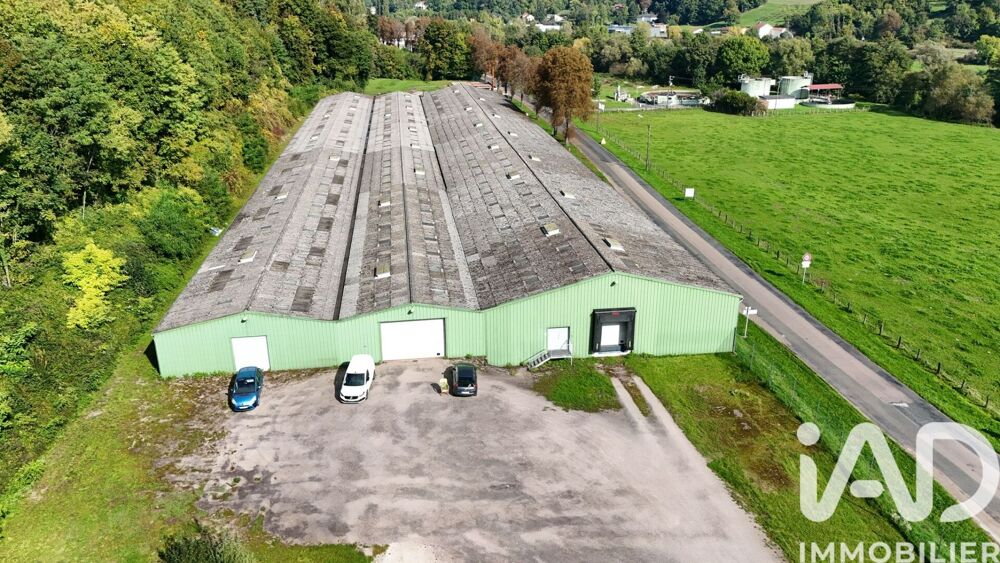 Vente Parking/Garage Vente Garage 7 000 m&sup2; Bourbonne-les-bains
