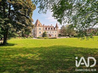 Vente Maison Vente Château 21 pièces Pagney