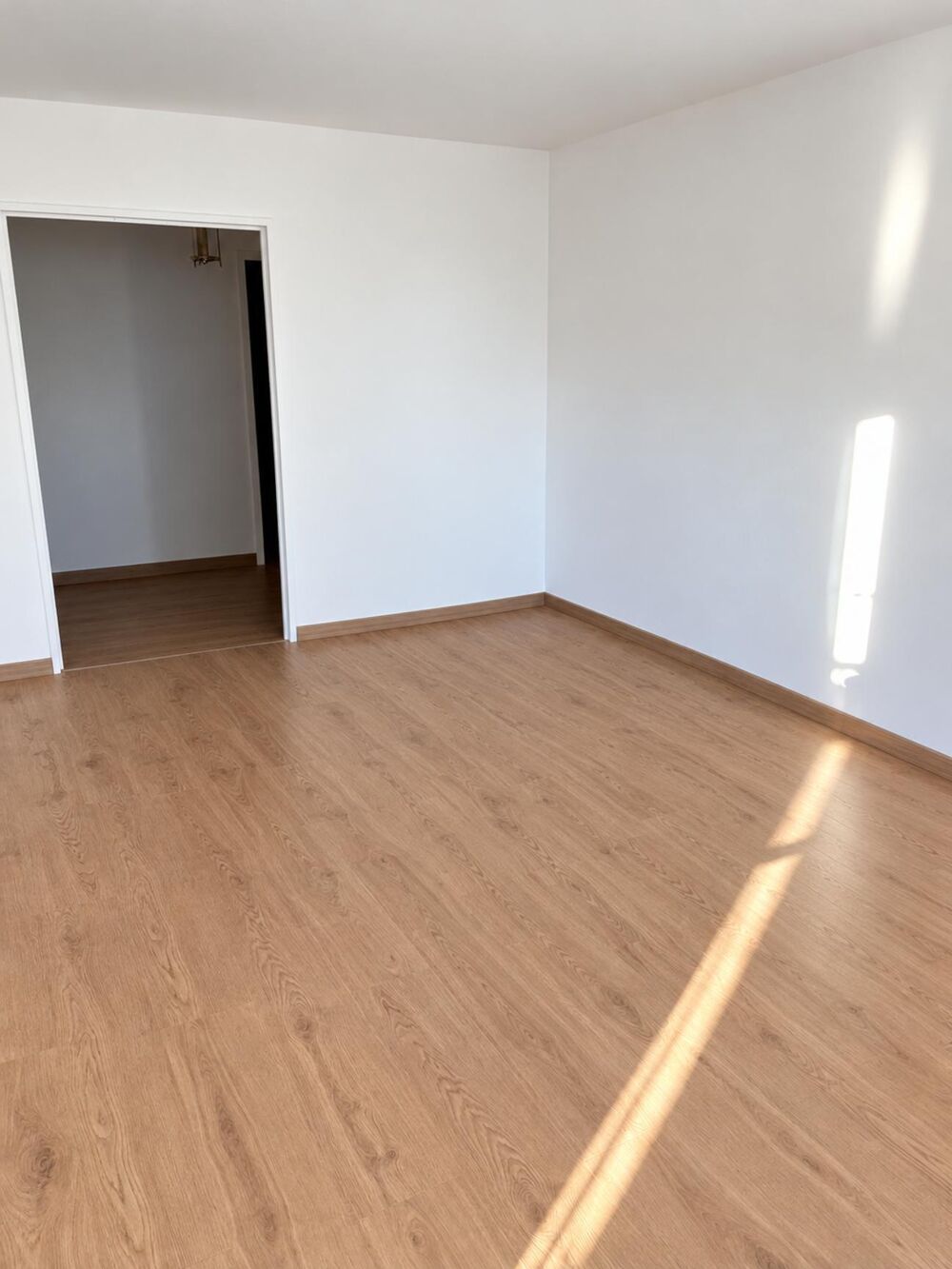 Location Appartement T3 2 rue Jean Giono Saint-Etienne Saint-Étienne