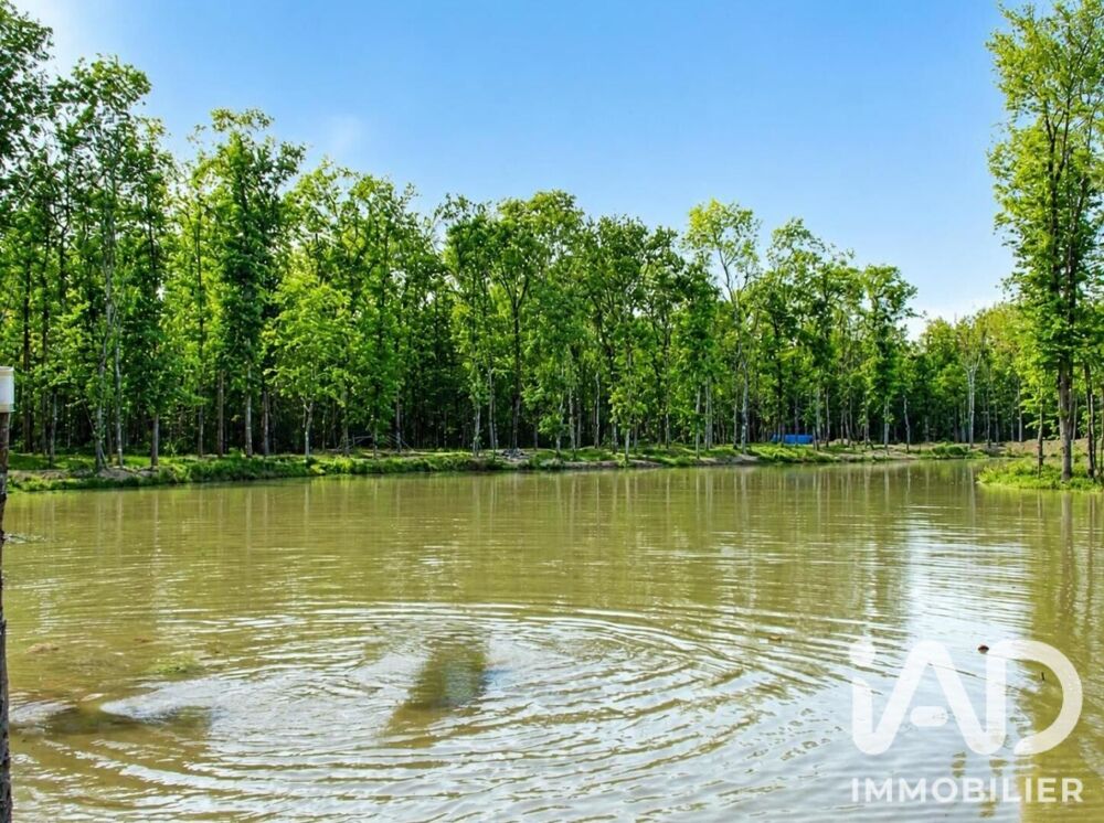 Vente Terrain Vente Surface diverse 200 000 m&sup2; Colomiers
