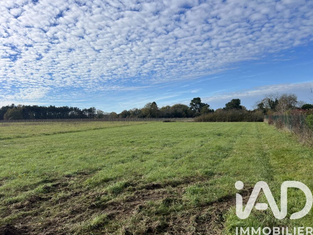 Vente Terrain Vente Terrain à bâtir 1 500 m&sup2; Fronton