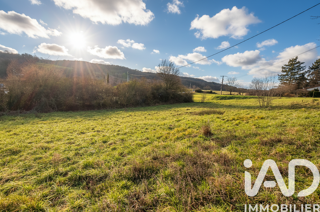  Terrain à vendre 4303 m²