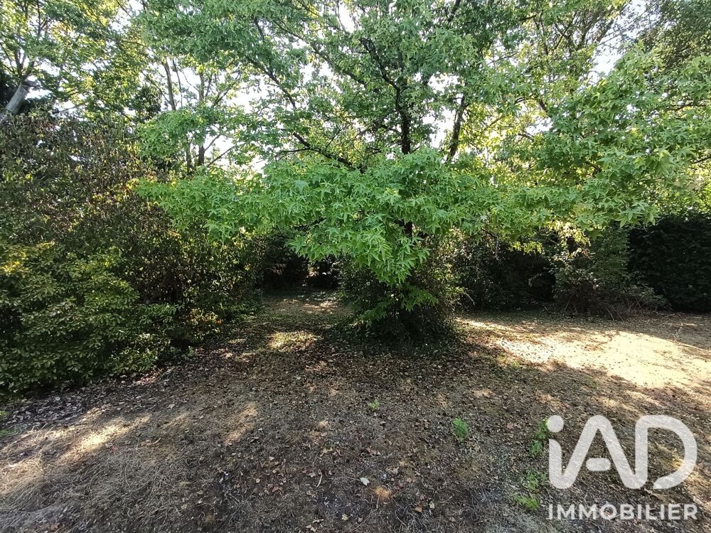Vente Terrain Vente Terrain à bâtir 1 361 m&sup2; Doué-en-anjou