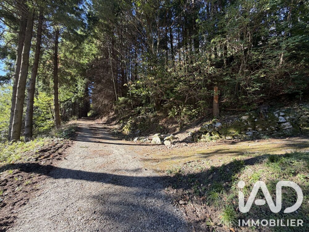 Vente Autre Vente Gîte 5 pièces Vallées-d'antraigues-asperjoc