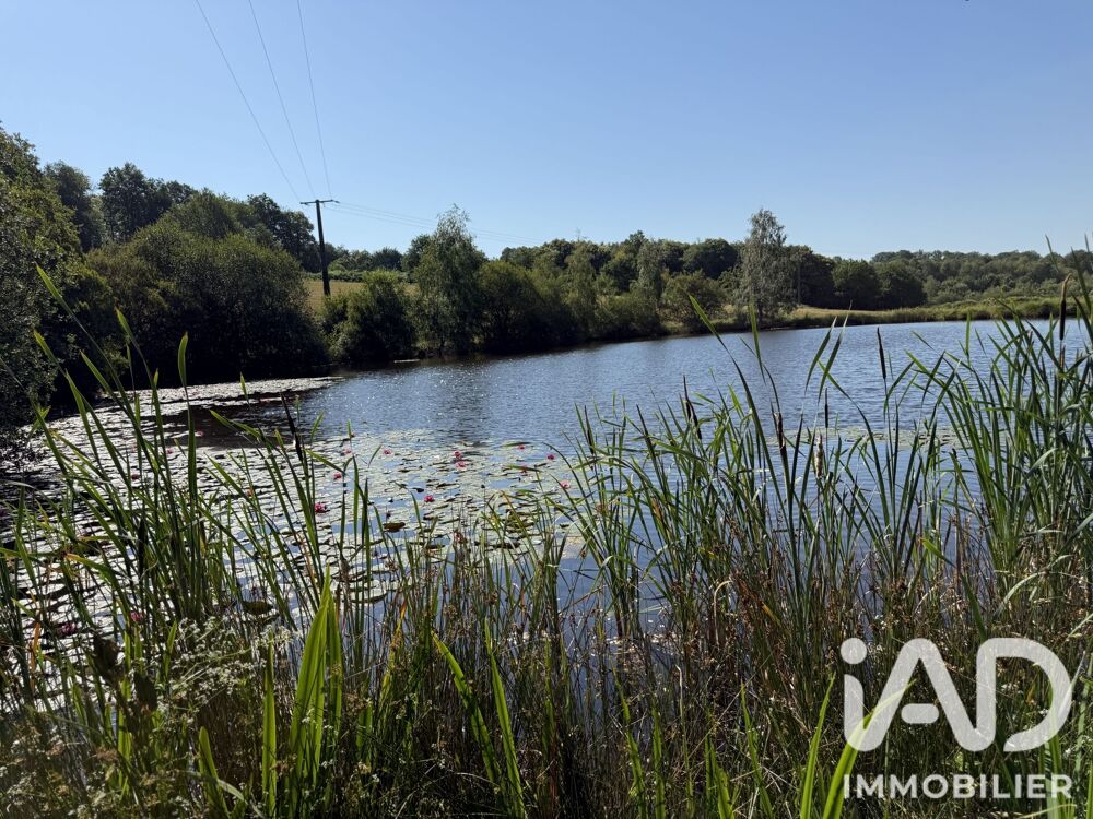 vente Terrain - 43080 m² Bussière-Galant (87230)
