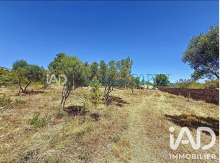 Vente Terrain Vente Terrain à bâtir 7 436 m&sup2; Opoul-périllos
