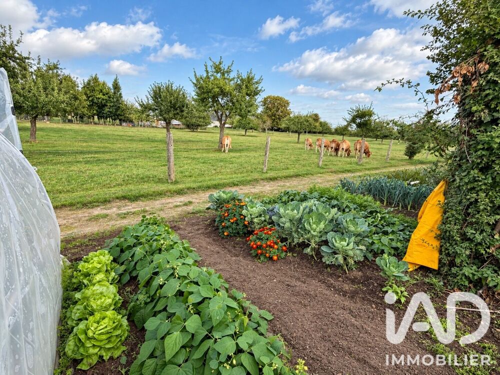Vente Terrain Vente Terrain à bâtir 914 m&sup2; Ernemont-sur-buchy