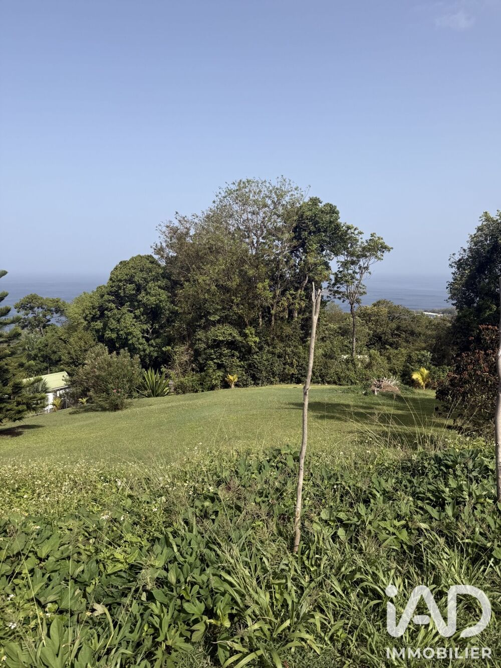 Vente Terrain Vente Terrain à bâtir 2 299 m&sup2; Bouillante