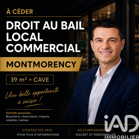iad France - Jesse Riquier vous propose: &Agrave; c&eacute;der &agrave; Mo... 66000 95160 Montmorency