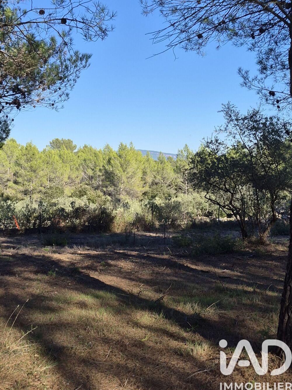 Vente Terrain Vente Terrain 4 026 m&sup2; Les arcs
