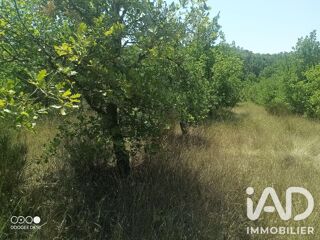  Terrain à vendre 49000 m²