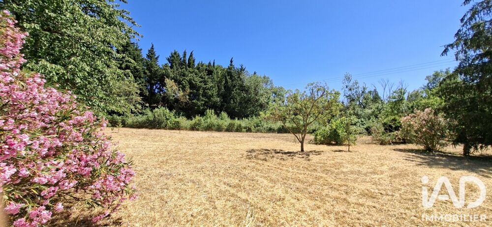 Vente Maison Vente Maison traditionnelle 20 pièces Trèbes