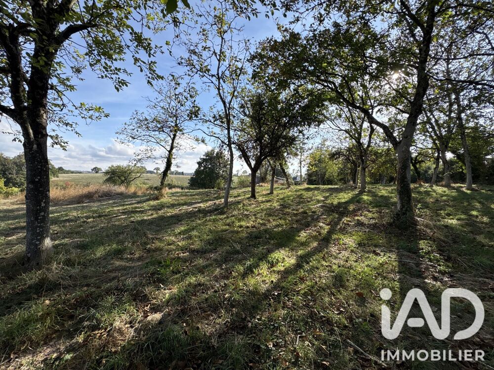 Vente Terrain Vente Terrain à bâtir 1 319 m&sup2; Moyrazès