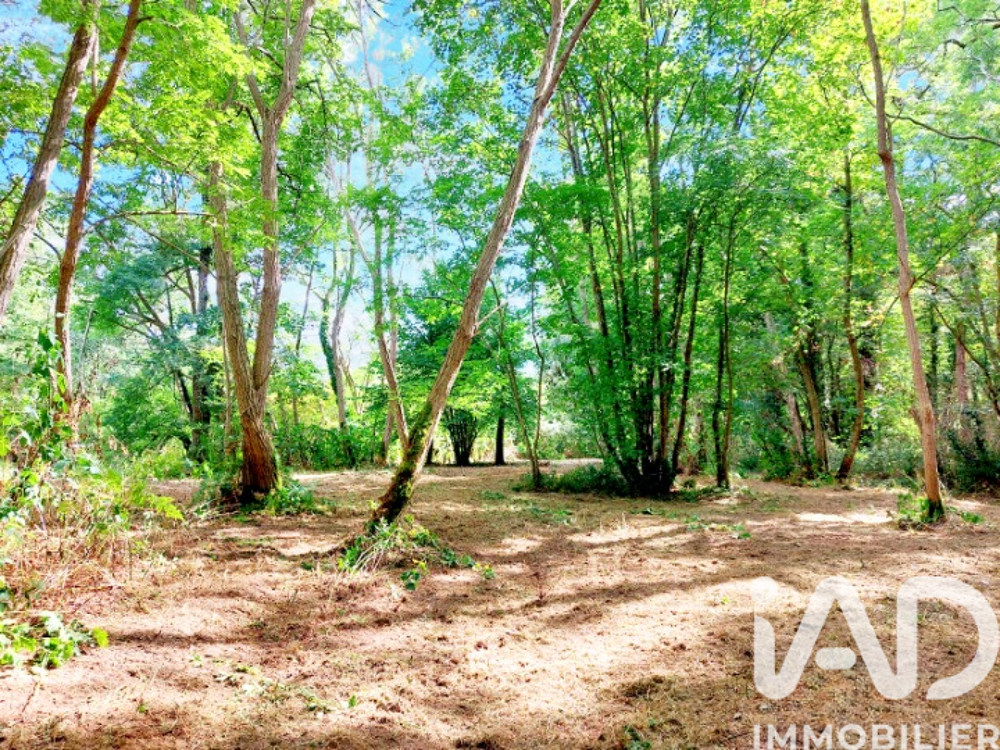 Vente Terrain Vente Terrain 7 548 m&sup2; Queaux
