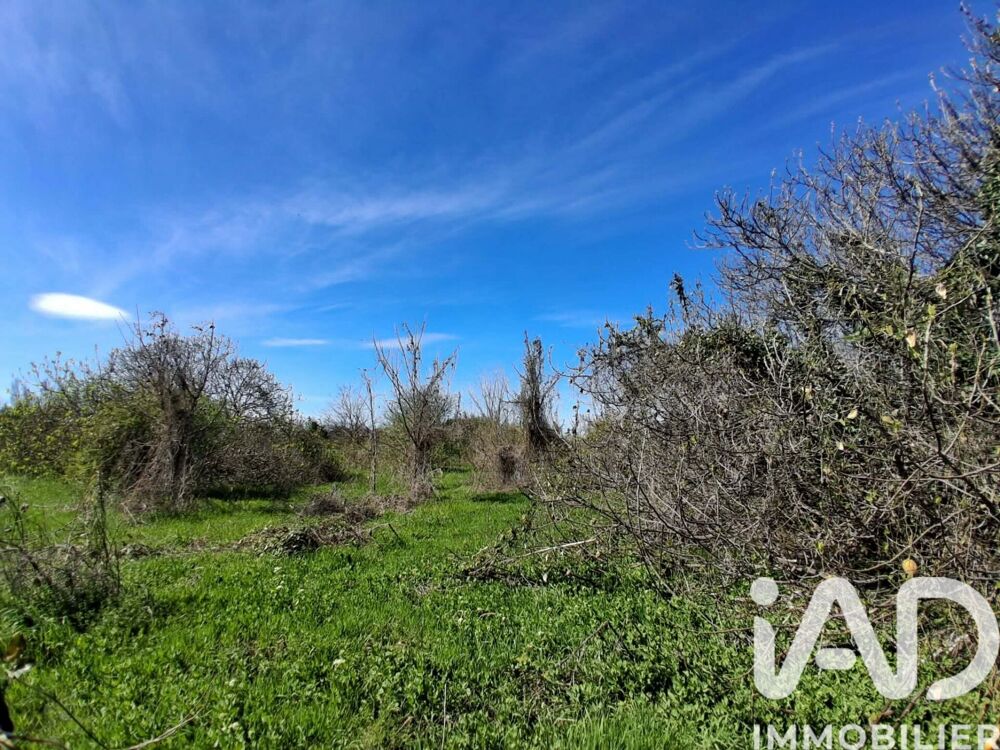 Vente Terrain Vente Terrain 4 000 m&sup2; Canet en roussillon