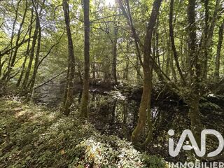  Terrain à vendre 11070 m²