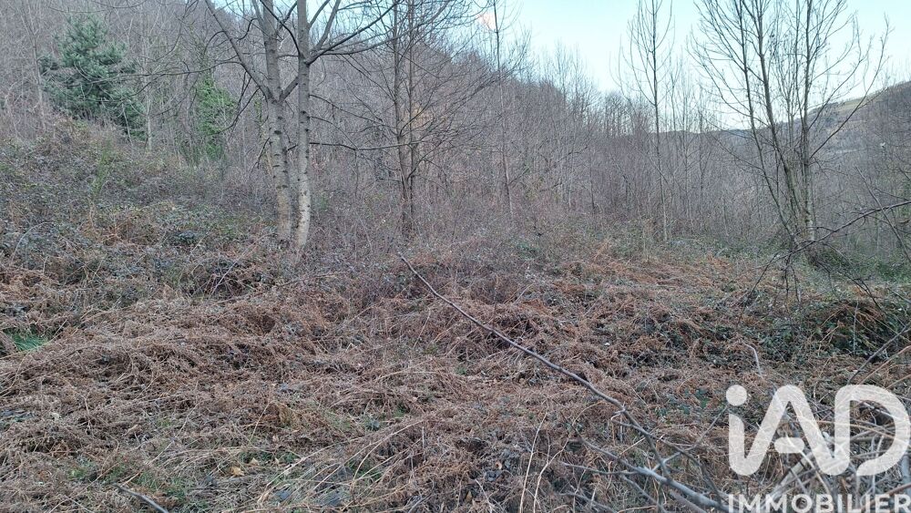 Vente Terrain Vente Terrain agricole 51 000 m&sup2; Prats-de-mollo-la-preste