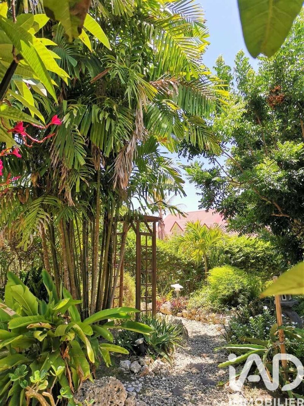 à vendre  Maison Sainte-Anne (97180)