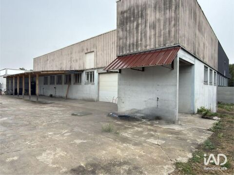   Location Local d'activités 500 m&sup2; 