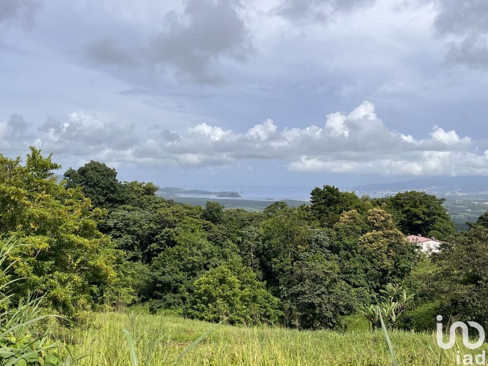 Vente Terrain Vente Terrain 500 m&sup2; Rivière-pilote