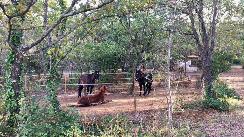  vendre  Maison Bziers (34500)