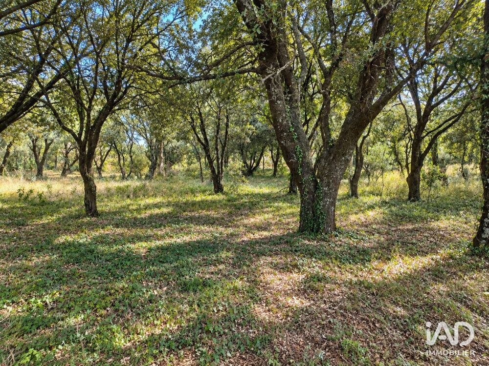 Vente Terrain Vente Terrain 1 589 m&sup2; Grignan