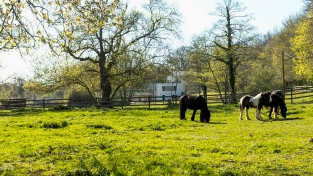 � vendre  Maison Toulouse (31000)