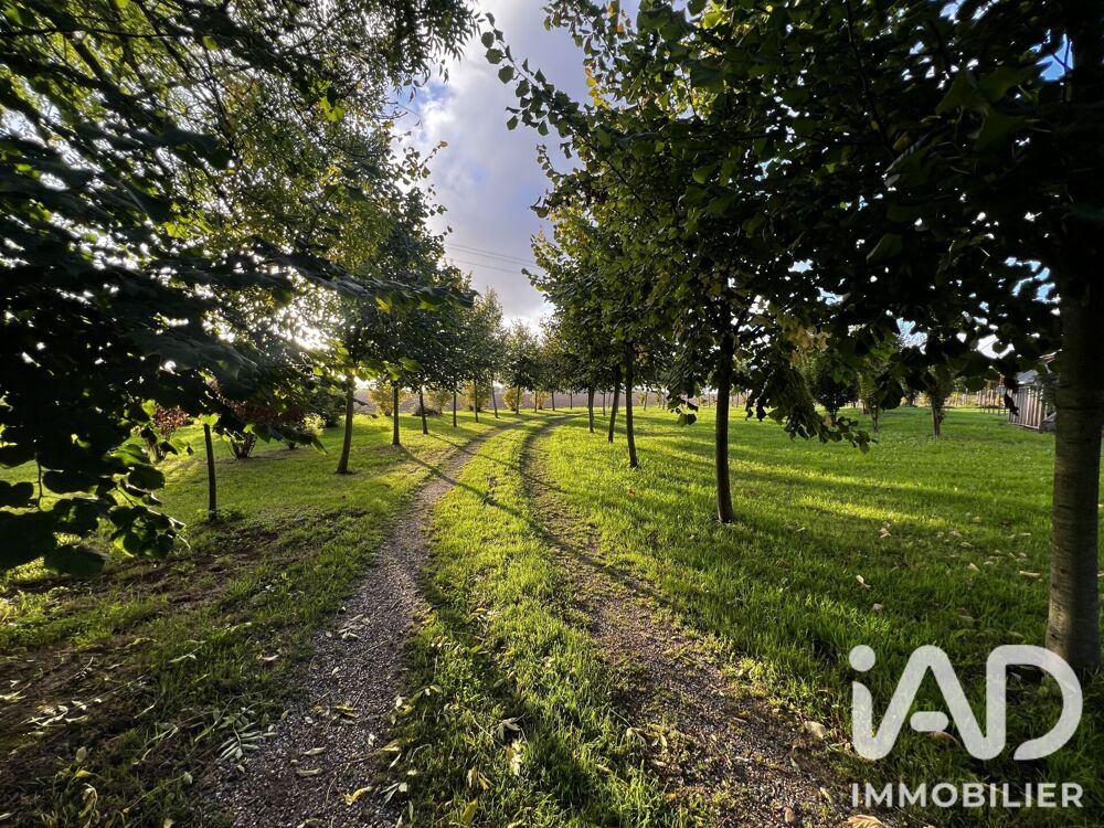 Vente Manoir 21 pièces