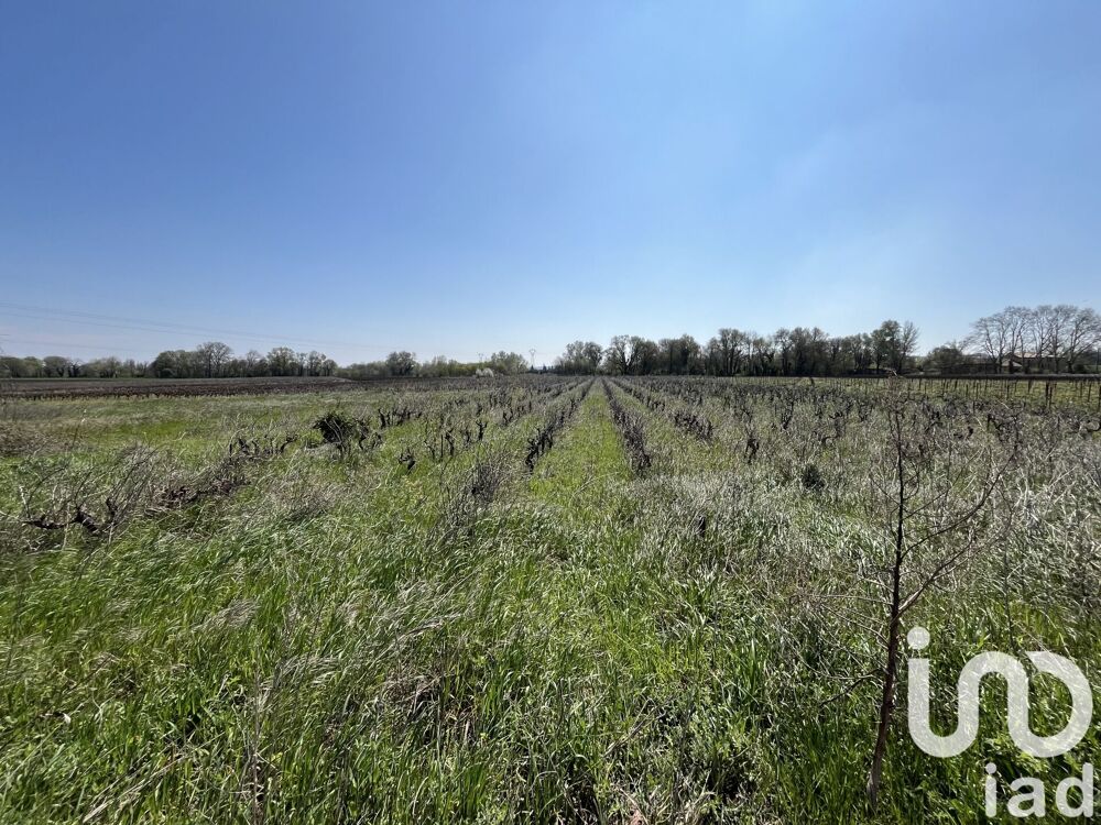Vente Terrain Vente Terrain agricole 5 975 m&sup2; Codolet