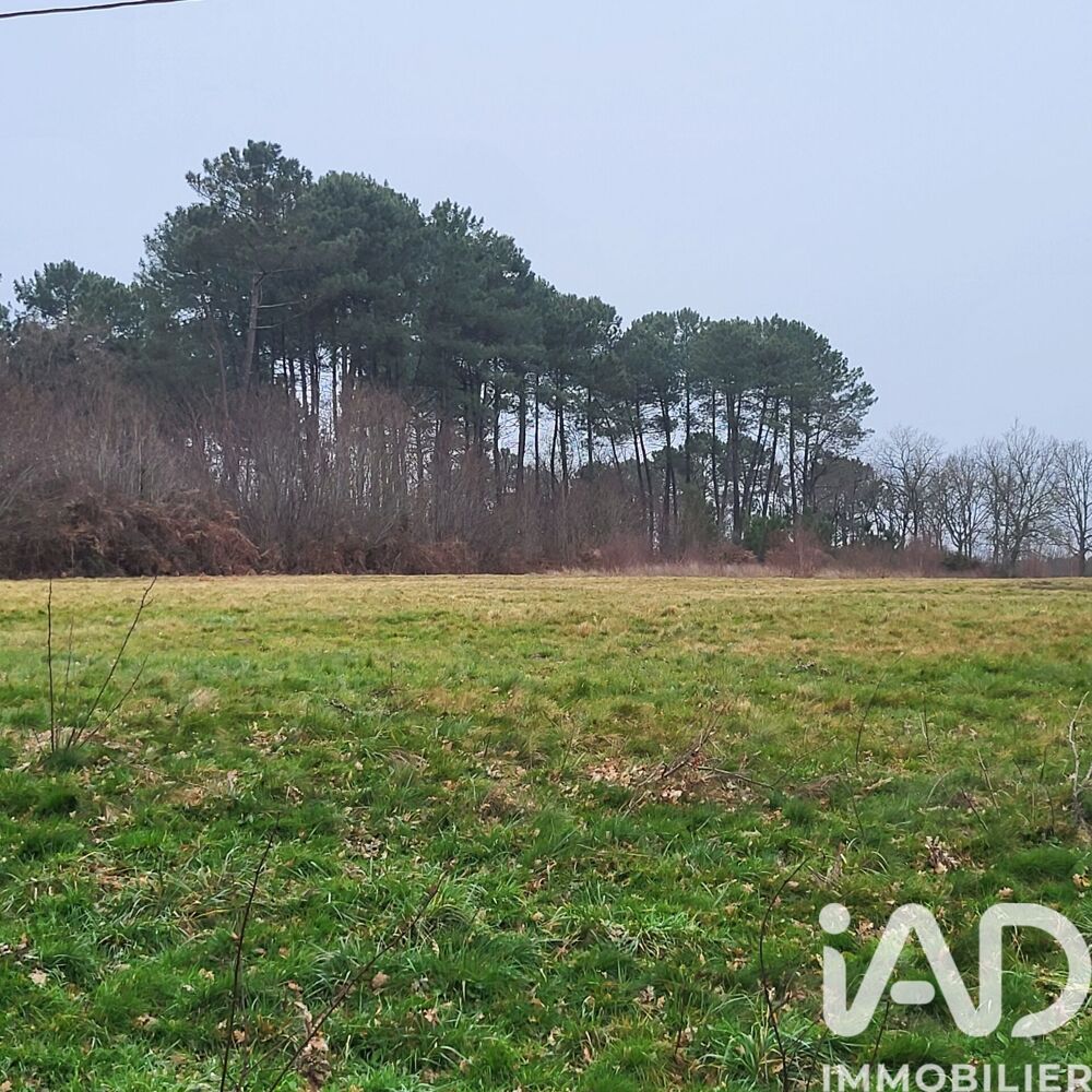 Vente Terrain Vente Surface diverse 44 000 m&sup2; Bazas